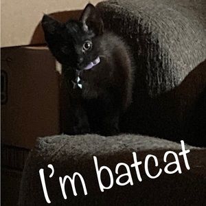 Meet your Posher, Ivysue